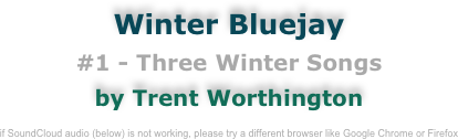 Winter Bluejay
#1 - Three Winter Songs
by Trent Worthington

if SoundCloud audio (below) is not working, please try a different browser like Google Chrome or Firefox